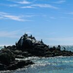 pexels-andreahinojosa-16358536